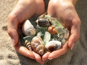collecting-seashells